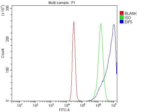 a04623 2 eif5 primary antibodies fcm testing 12