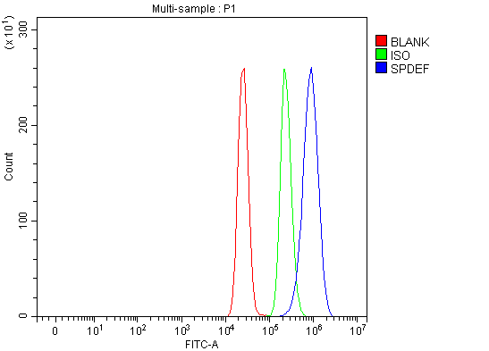 a04625 1 spdef primary antibodies fcm testing 3