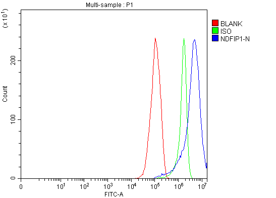  Flow Cytometry analysis of RT4 cells using anti-NDFIP1 antibody (A04644-2)