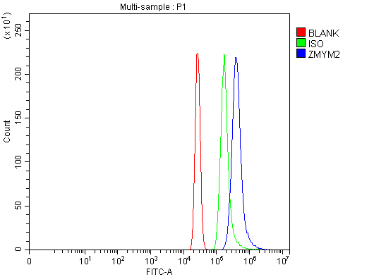  Flow Cytometry analysis of HL-60 cells using anti-RAMP/ZMYM2 antibody (A04648-1)