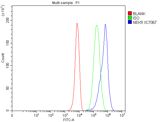 a04660 1 nek9 primary antibodies fcm testing 1