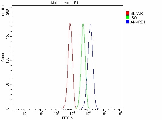 a04671 2 ankrd1 primary antibodies fcm testing 2