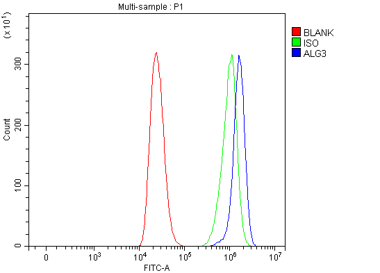  Flow Cytometry analysis of THP-1 cells using anti-ALG3 antibody (A04688)