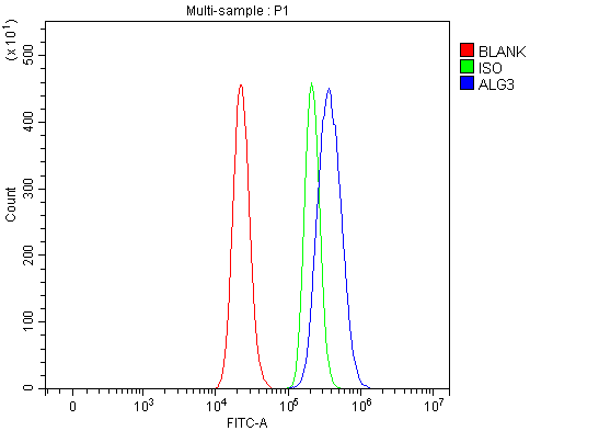  Flow Cytometry analysis of RT4 cells using anti-ALG3 antibody (A04688)