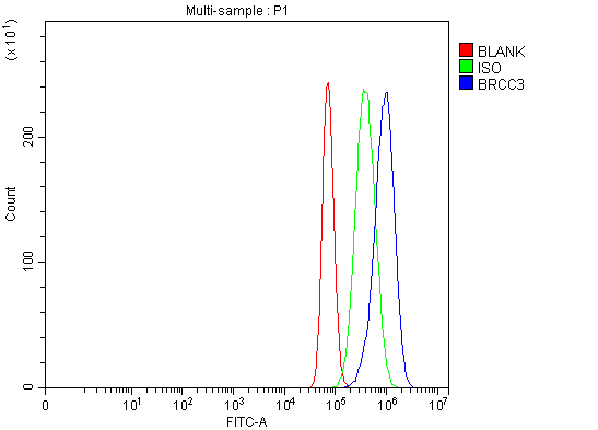 a04690 1 brcc3 primary antibodies fcm testing 3