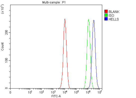  Flow Cytometry analysis of PC-3 cells using anti-HELLS antibody (A04702-1)