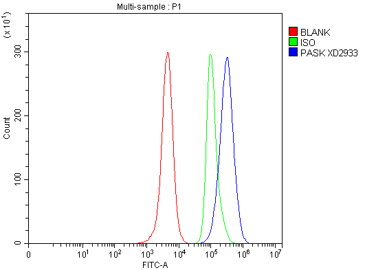 a04726 2 pask primary antibodies fcm testing 1