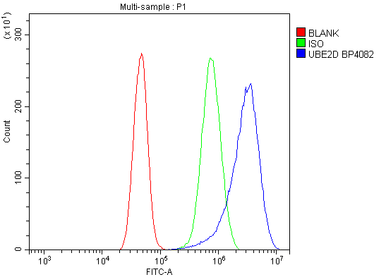 a04728 1 ube2d primary antibodies fcm testing 7