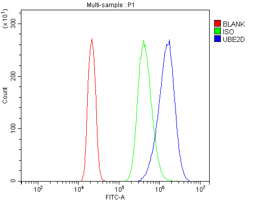 a04728 1 ube2d primary antibodies fcm testing 8