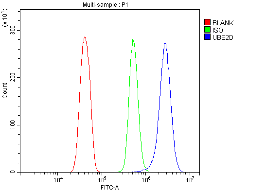 a04728 1 ube2d primary antibodies fcm testing 9