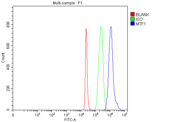 a04733 3 mtf1 primary antibodies fcm testing 5