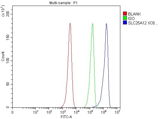 Flow Cytometry analysis of HEL cells using anti-SLC25A12 antibody (A04746-3)