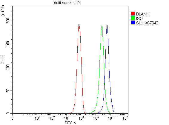 a04766 1 sil1 primary antibodies fcm testing 1