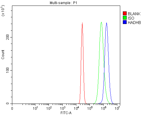 a04776 2 hadhb primary antibodies fcm testing 13