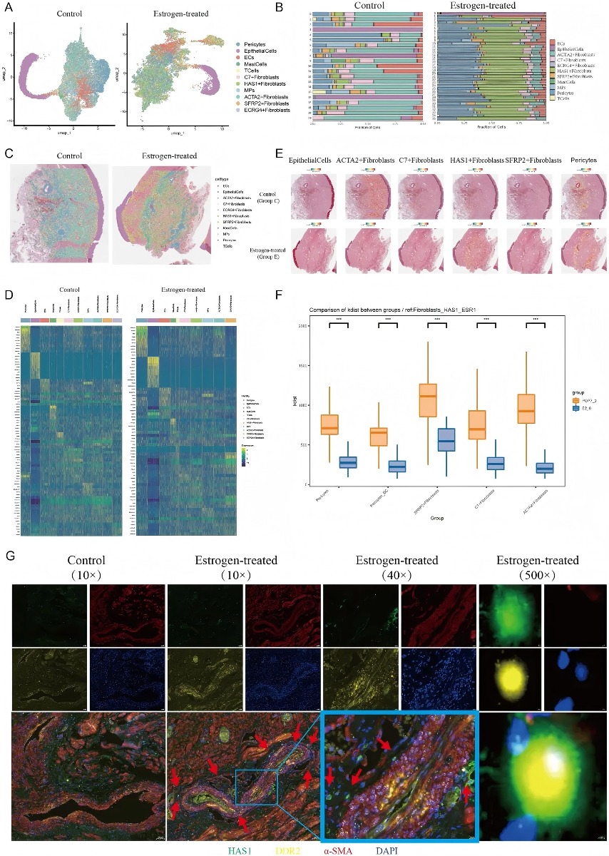 a04784 1 publication fimmu 17 1794699 g004