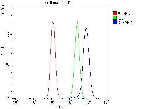 a04787 1 iqgap2 primary antibodies fc testing 2