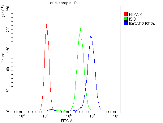 a04787 1 iqgap2 primary antibodies fcm testing 6