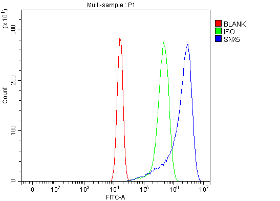 Flow Cytometry analysis of U20S cells using anti-SNX5 antibody (A04788-1)