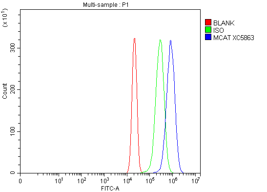 a04806 1 mcat primary antibodies fcm testing 1