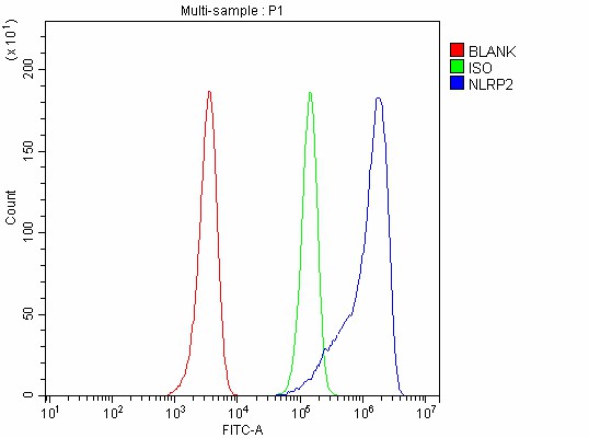  Flow Cytometry analysis of HEL cells using anti-NLRP2 antibody (A04819-3)