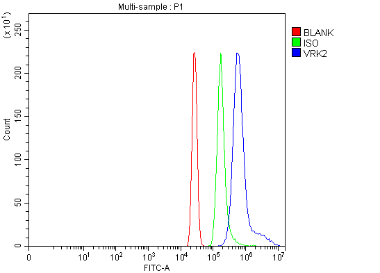 a04821 2 vrk2 primary antibodies fcm testing 2