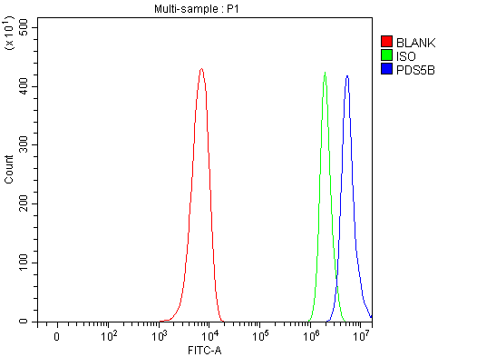  Flow Cytometry analysis of PC-3 cells using anti-PDS5B antibody (A04823-1)