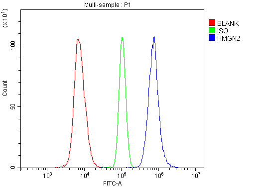 a04839 2 hmgn2 primary antibodies fcm testing 7_1