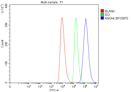  Flow Cytometry analysis of HEL cells using anti-ANXA4 antibody (A04840)