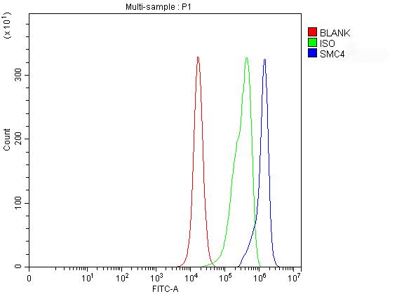 Flow Cytometry analysis of PC-3 cells using anti-SMC4 antibody (A04887-1)