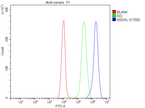 a04902 1 nsdhl primary antibodies fcm testing 1