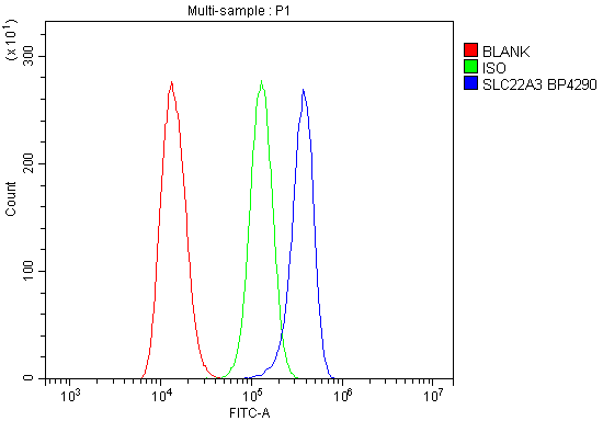 a04914 1 slc22a3 primary antibodies fcm testing 2