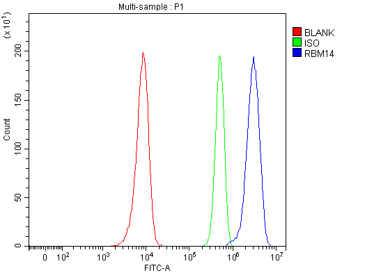  Flow Cytometry analysis of Hela cells using anti-RBM14 antibody (A04917-2)