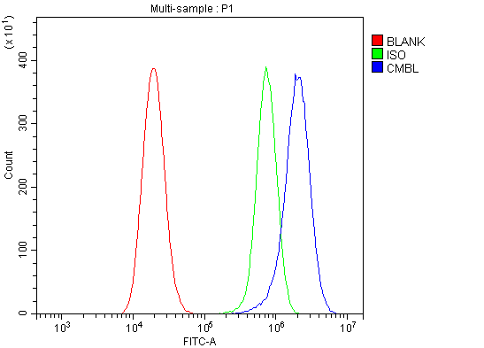  Flow Cytometry analysis of U20S cells using anti-LOC134147/CMBL antibody (A04921-1)
