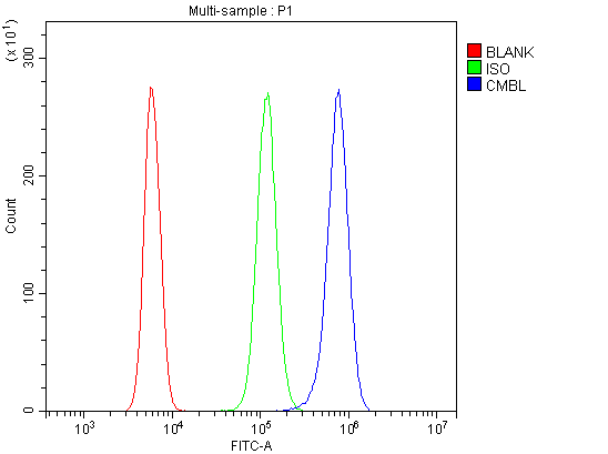 a04921 cmbl primary antibodies fcm testing 2