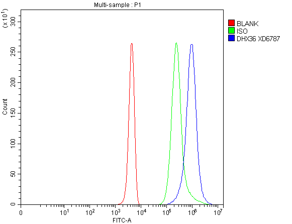 Flow Cytometry analysis of 293T cells using anti-DHX36 antibody (A04923-2)