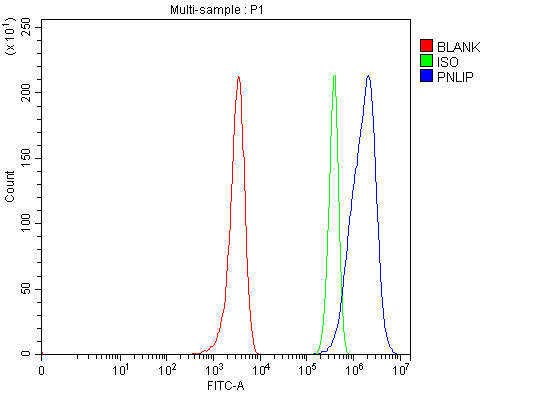  Flow Cytometry analysis of U251 cells using anti-Pancreatic Lipase/PNLIP antibody (A04935-1)