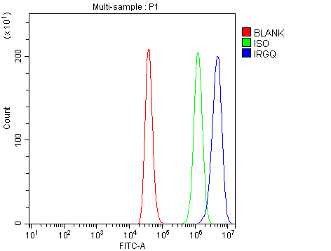 a04954 1 irgq primary antibodies fcm testing 2