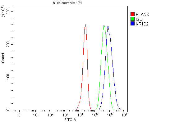 a04958 2 nr1d2 primary antibodies fcm testing 4
