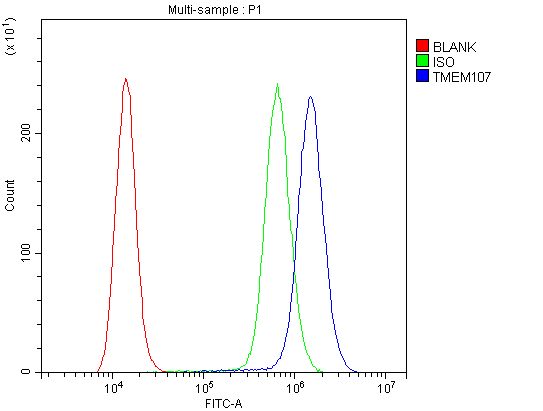 a04966 tmem107 primary antibodies fcm testing 4_1