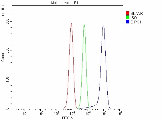 a04969 4 gipc1 primary antibodies fcm testing 9