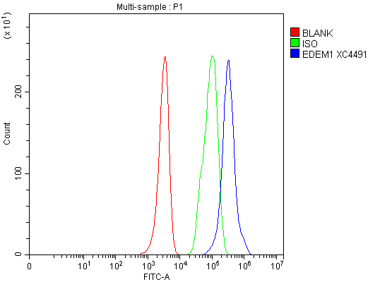  Flow Cytometry analysis of HEL cells using anti-EDEM1 antibody (A04973-1)