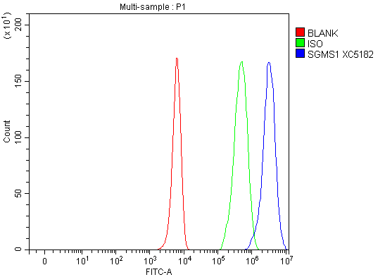  Flow Cytometry analysis of K562 cells using anti-K562 cells antibody (A04981-1)