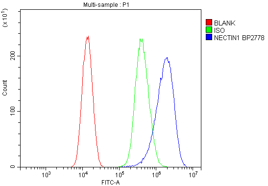 a04988 1 nectin1 primary antibodies fcm testing 7