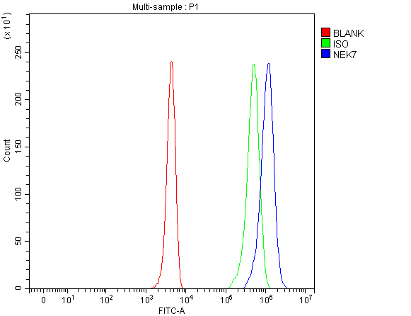 a04996 1 nek7 primary antibodies fcm testing 4