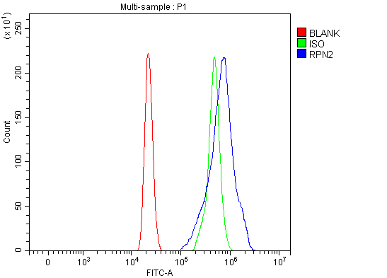 a05006 1 rpn2 primary antibodies fcm testing 3