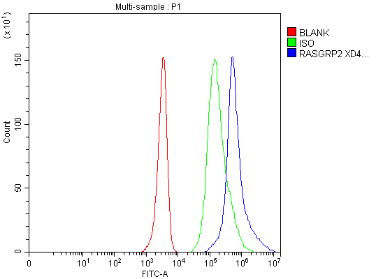 Flow Cytometry analysis of HEL cells using anti-RASGRP2 antibody (A05007-1)