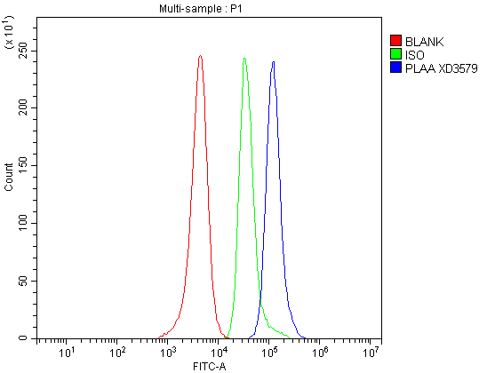 Flow Cytometry analysis of SH-SY5Y cells using anti-PLAA antibody (A05010-1)