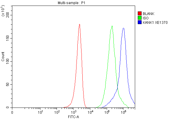 a05029 1 kank1 primary antibodies fcm testing 1