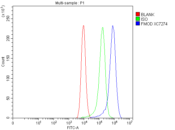 Flow Cytometry analysis of Caco-2 cells using anti-FMOD antibody (A05030-1)