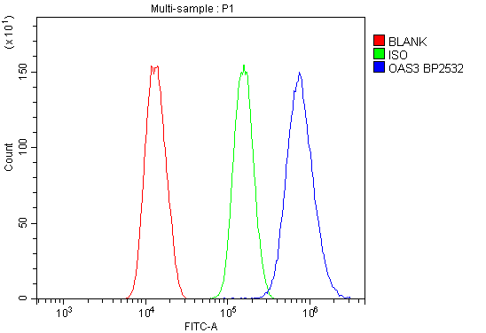 a05032 1 oas3 primary antibodies fc testing 3